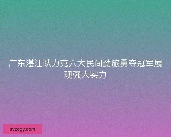 广东湛江队力克六大民间劲旅勇夺冠军展现强大实力