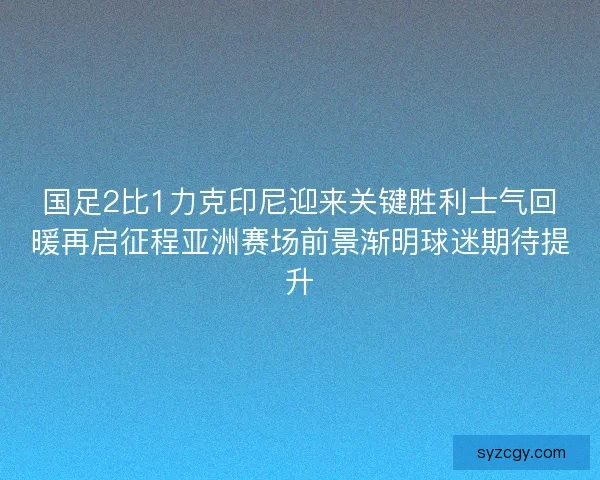 国足2比1力克印尼迎来关键胜利士气回暖再启征程亚洲赛场前景渐明球迷期待提升